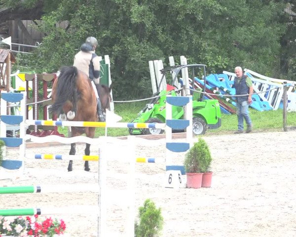 Reitturnier Fehraltorf 2020