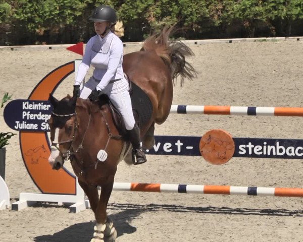 Reitturnier Worms-Pfeddersheim / Reitsportanlage Wittemer 2020