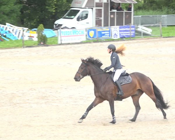 Reitturnier Fehraltorf 2020