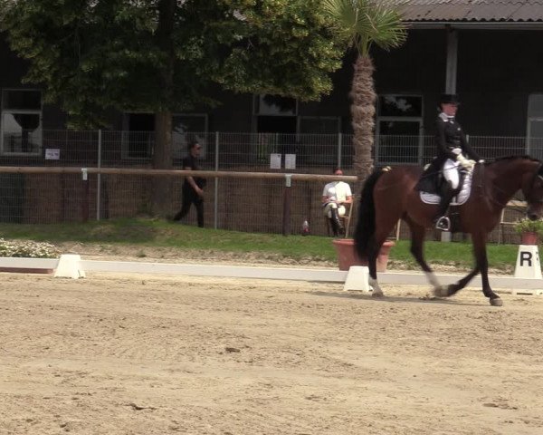 Reitturnier Halver 2020