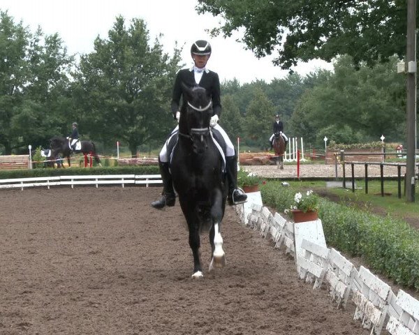 Reitturnier Hamm-Rhynern 2020