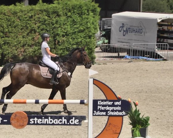 Reitturnier Worms-Pfeddersheim / Reitsportanlage Wittemer 2020