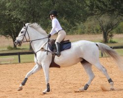 Springpferd Courtney 8 (Oldenburger, 2004, von Cornet Obolensky)