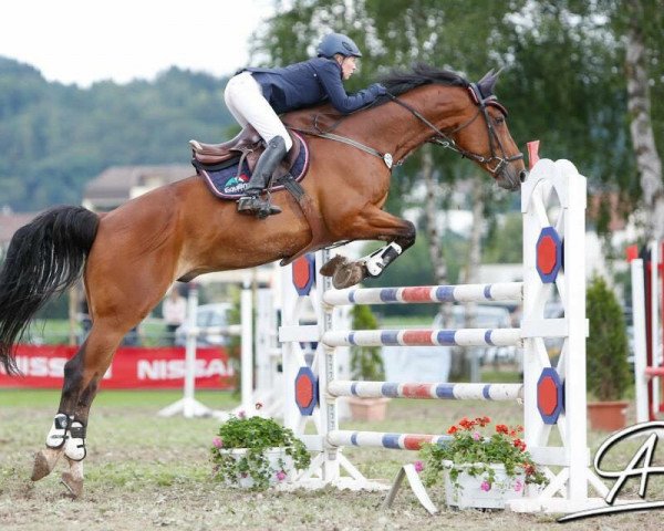 jumper Little Joe 153 (Bavarian, 1997, from Lord Incipit)