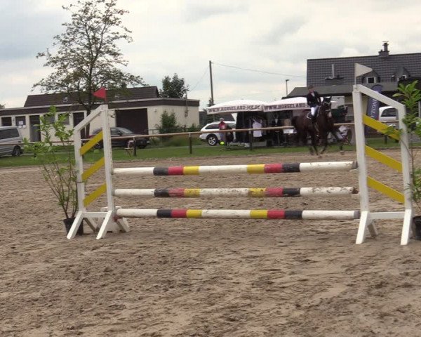 Reitturnier Halver 2020