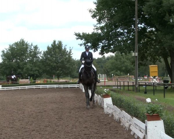 Reitturnier Hamm-Rhynern 2020