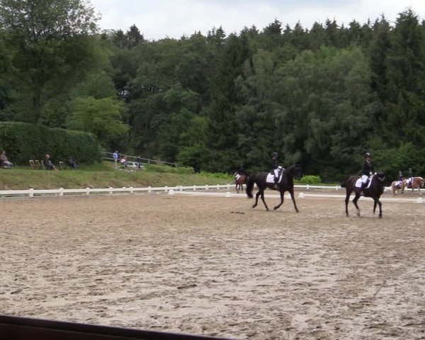 Reitturnier Halver 2020
