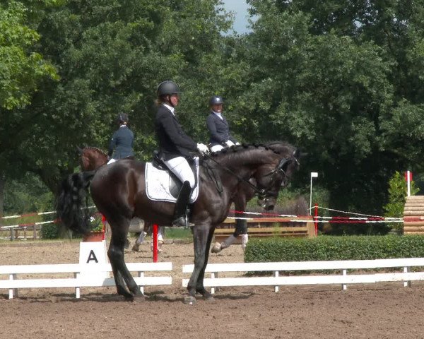 Reitturnier Hamm-Rhynern 2020