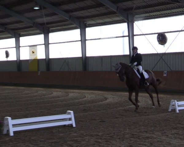 Reitturnier Frechen-Grefrath - Sonnenhof 2021