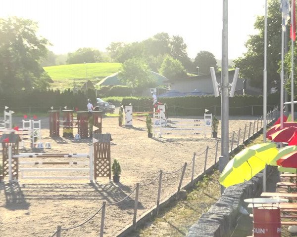 Reitturnier Fehraltorf 2020