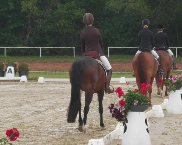 Reitturnier Heiligenwald 2020