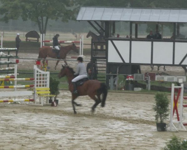 Reitturnier Hamm-Rhynern 2020