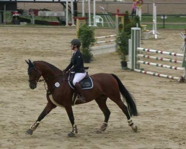 Reitturnier Hamm-Rhynern 2020