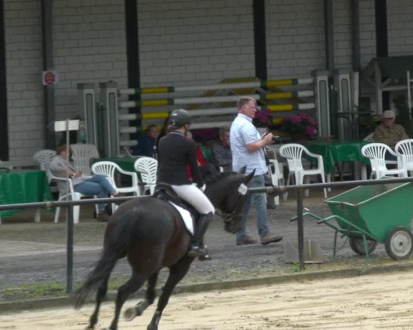Reitturnier Hamm-Rhynern 2020
