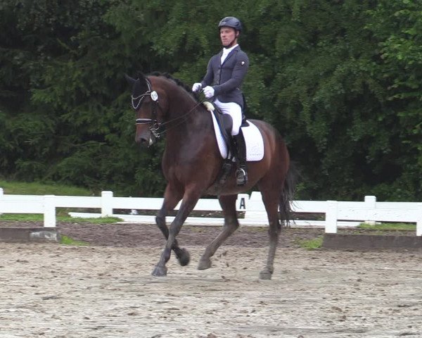 Reitturnier Halver 2020