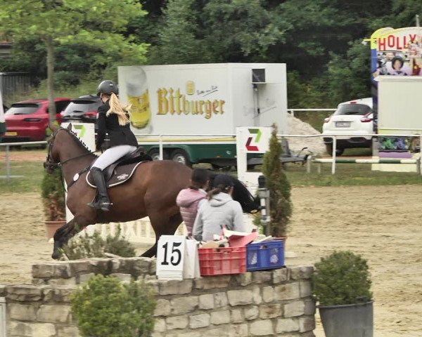 Reitturnier Heiligenwald 2020