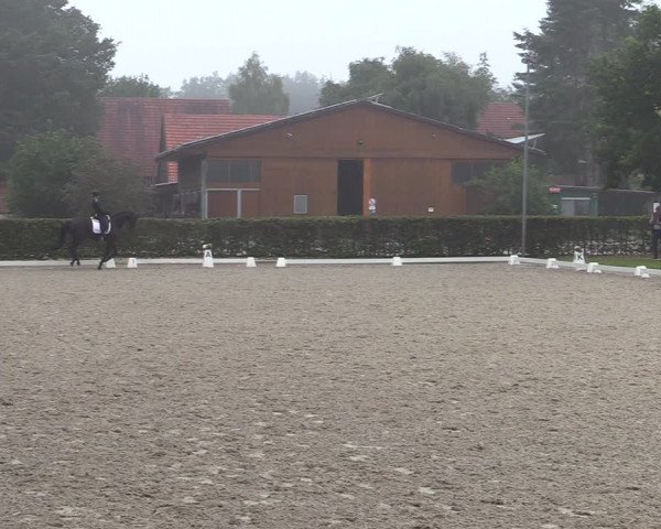 Reitturnier Greven 2020