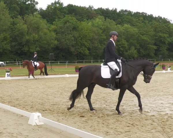Reitturnier Heiligenwald 2020