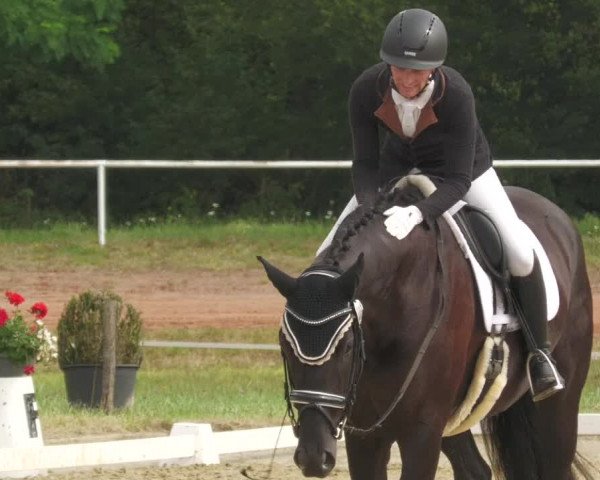 Reitturnier Heiligenwald 2020