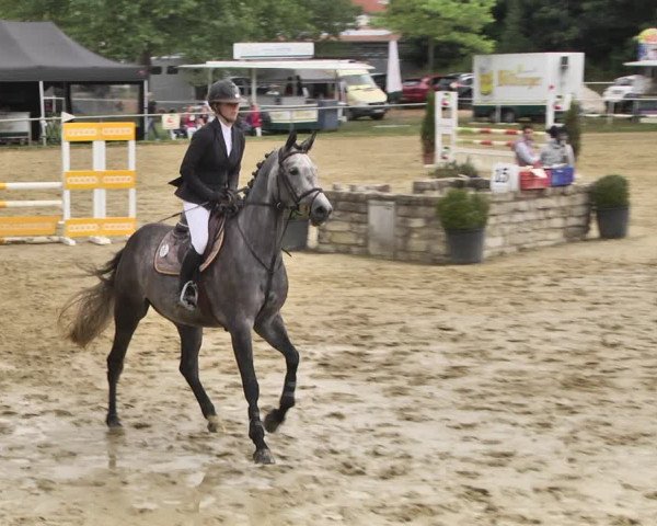 Reitturnier Heiligenwald 2020
