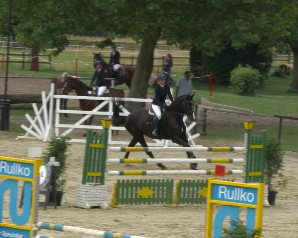 Reitturnier Hamm-Rhynern 2020