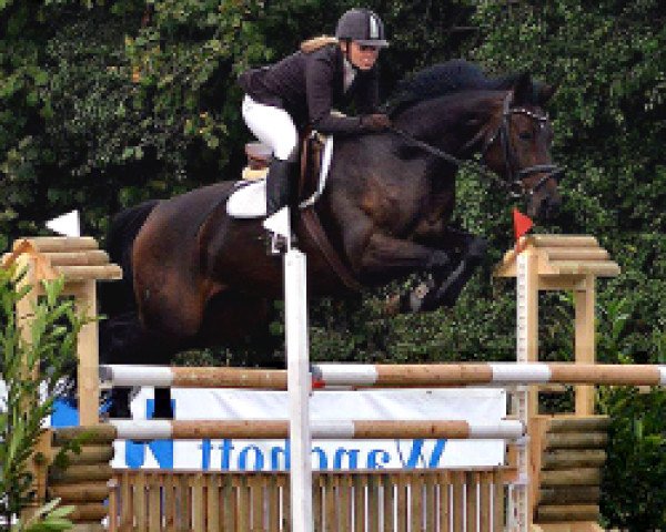 Springpferd Wajambara GH (Holsteiner, 2006, von Cormint)
