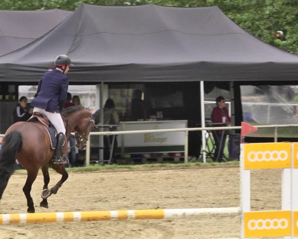 Reitturnier Heiligenwald 2020