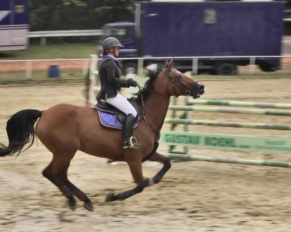 Reitturnier Heiligenwald 2020