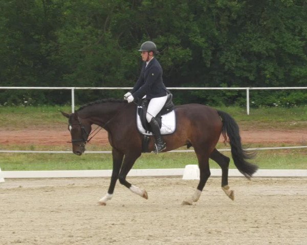 Reitturnier Heiligenwald 2020