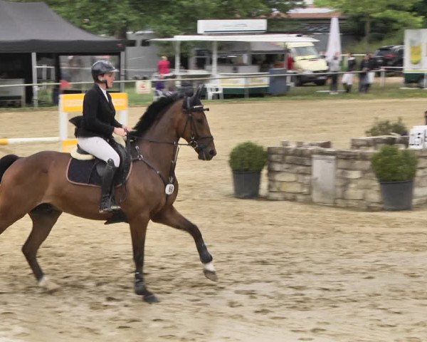 Reitturnier Heiligenwald 2020