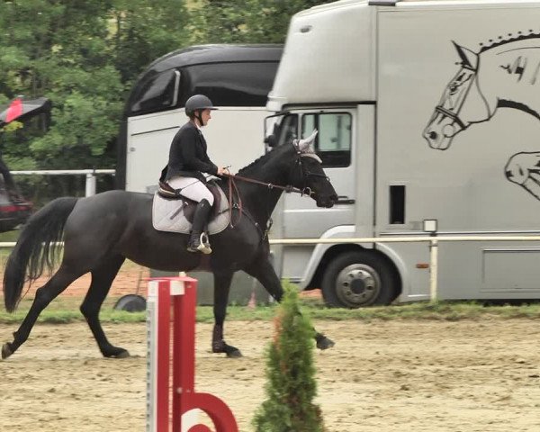Reitturnier Heiligenwald 2020