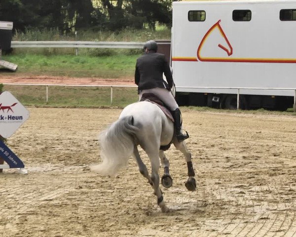 Reitturnier Heiligenwald 2020