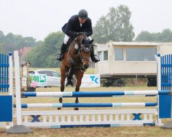broodmare Penny Ponti Pendi L (Oldenburg show jumper, 2009, from Potential)