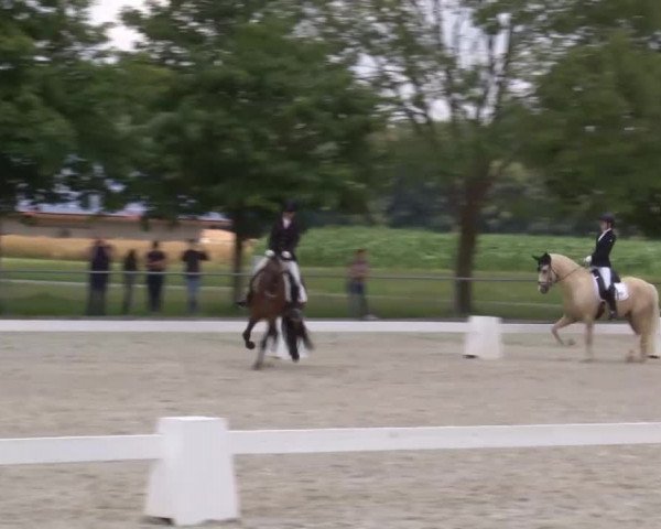 Reitturnier Rot am See- Musdorf 2020