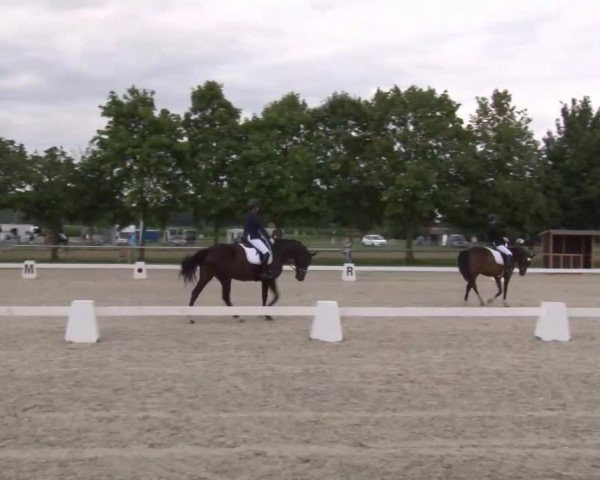 Reitturnier Rot am See- Musdorf 2020