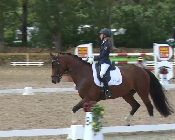 Reitturnier Kleinostheim/Ufr. 2020