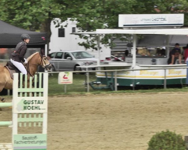 Reitturnier Heiligenwald 2020
