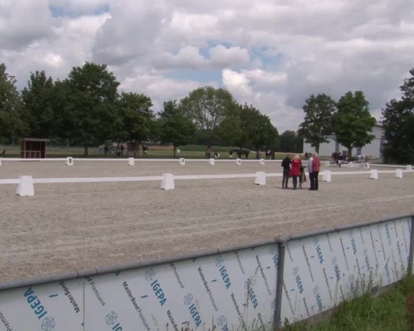 Reitturnier Rot am See- Musdorf 2020