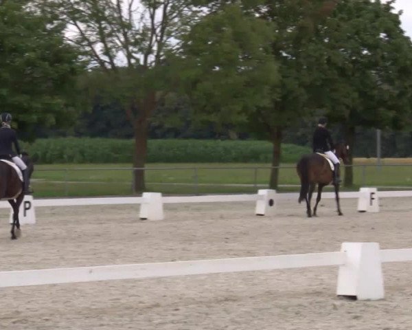 Reitturnier Rot am See- Musdorf 2020