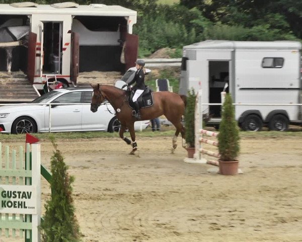 Reitturnier Heiligenwald 2020