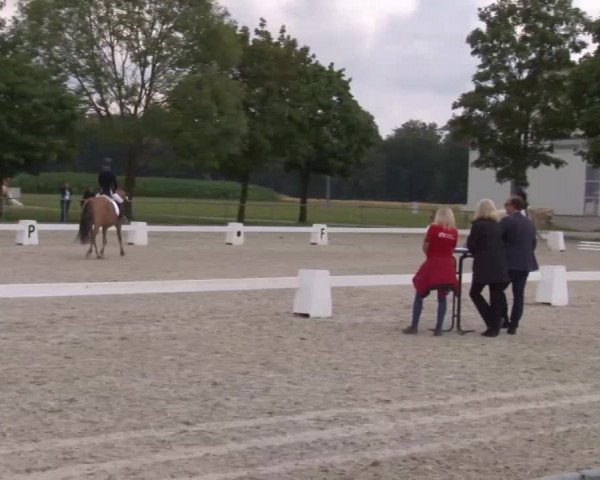Reitturnier Rot am See- Musdorf 2020