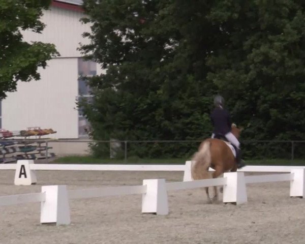 Reitturnier Rot am See- Musdorf 2020