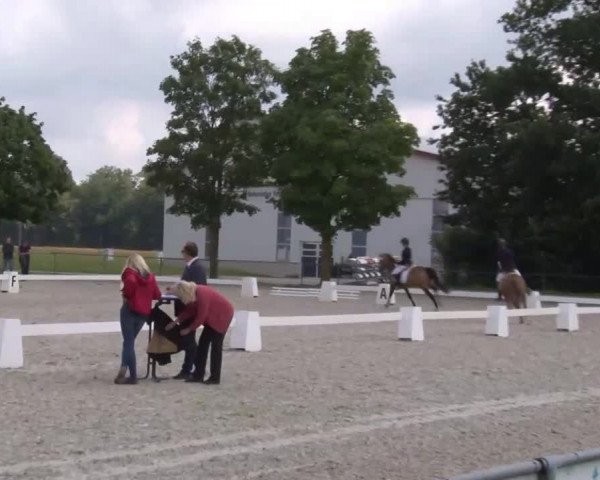 Reitturnier Rot am See- Musdorf 2020