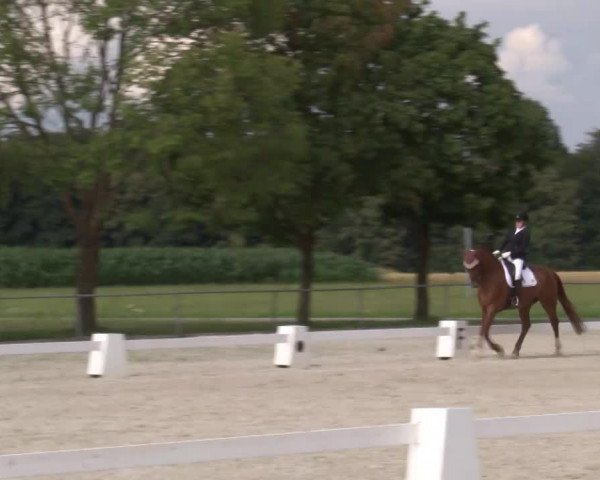 Reitturnier Rot am See- Musdorf 2020
