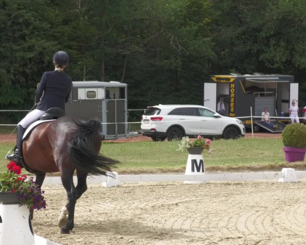 Reitturnier Heiligenwald 2020