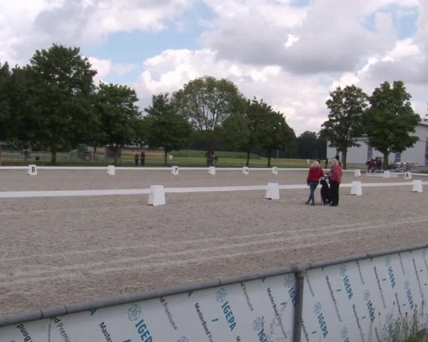 Reitturnier Rot am See- Musdorf 2020
