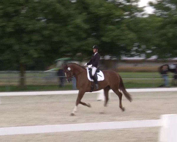 Reitturnier Rot am See- Musdorf 2020