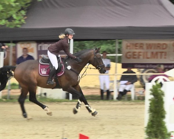 Reitturnier Heiligenwald 2020