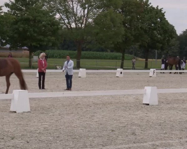 Reitturnier Rot am See- Musdorf 2020
