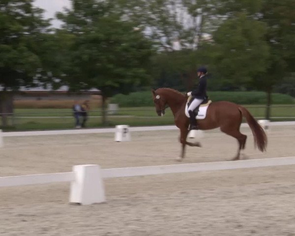 Reitturnier Rot am See- Musdorf 2020